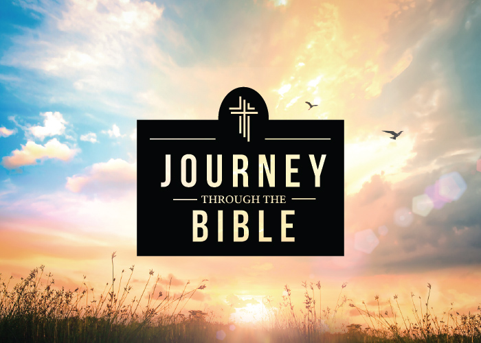 GENESIS: February 3, 2019