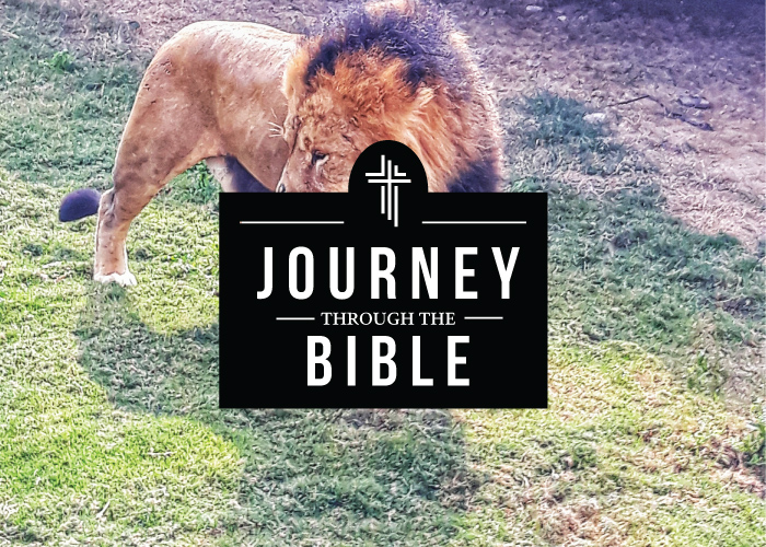 Daniel: August 25, 2019