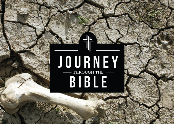 Ezekiel: August 18, 2019